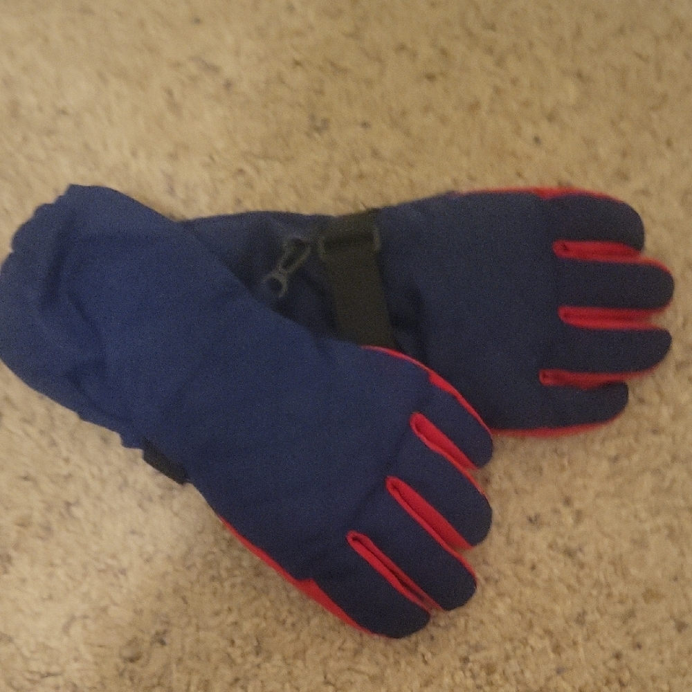 Blue and Red Winter Gloves